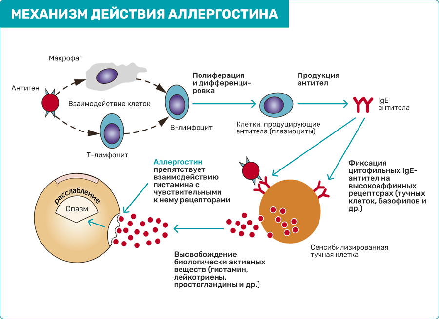 kartochka_5_ris1.png (187 KB)